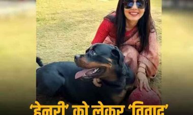 'कुत्ता लौटा दूंगी, CBI से शिकायत वापस ले लो...', महुआ मोइत्रा के 'एक्स पार्टनर' ने लगाए टीएमसी सांसद पर गंभीर आरोप