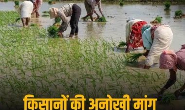 'हमारे घरों में आकर रहें विधायक', देश के इस राज्य के किसानों ने क्यों उठाई ये मांग? जानिए पूरा मामला