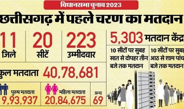छत्तीसगढ़ की 15 सबसे अहम सीटें: मुख्यमंत्री के सामने भतीजे की चुनौती, दो पूर्व आईएएस भी हैं चुनावी मैदान में
