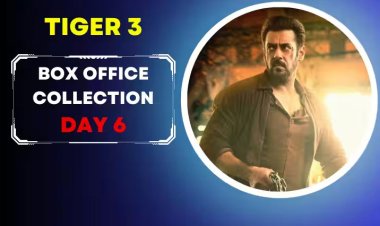Tiger 3 Box Office Collection Day 6: 'टाइगर 3' का बॉक्स ऑफिस पर हाल बेहाल! हर दिन घट रही कमाई, छठे दिन का कलेक्शन रुलाने वाला