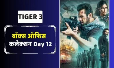 Tiger 3 Box Office Collection Day 12: ‘टाइगर 3’ की बॉक्स ऑफिस पर रफ्तार पड़ी सुस्त,अब 5 करोड़ भी नहीं कमा पा रही फिल्म, 12वें दिन का कलेक्शन जान लगेगा तगड़ा झटका