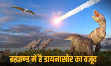 Dinosaurs In Galaxy: दूसरे ग्रहों पर चल रहा डायनासोर का सिक्का! नई स्टडी में बड़ा खुलासा, ब्रह्मांड में ऐसे खोजा जाएगा जीवन