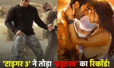 Tiger 3 Worldwide Box Office Collection: 'टाइगर 3' ने तोड़ा Brahmastra का रिकॉर्ड! वर्ल्डवाइड कलेक्शन में 450 करोड़ के करीब पहुंची Salman Khan की फिल्म