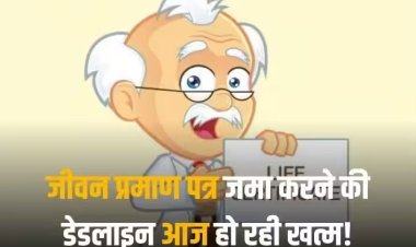 Life Certificate: पेंशनर्स आज ही निपटाएं ये जरूरी काम वर्ना आगे की पेंशन जाएगी अटक, लास्ट डेट पर कर लें फटाफट काम