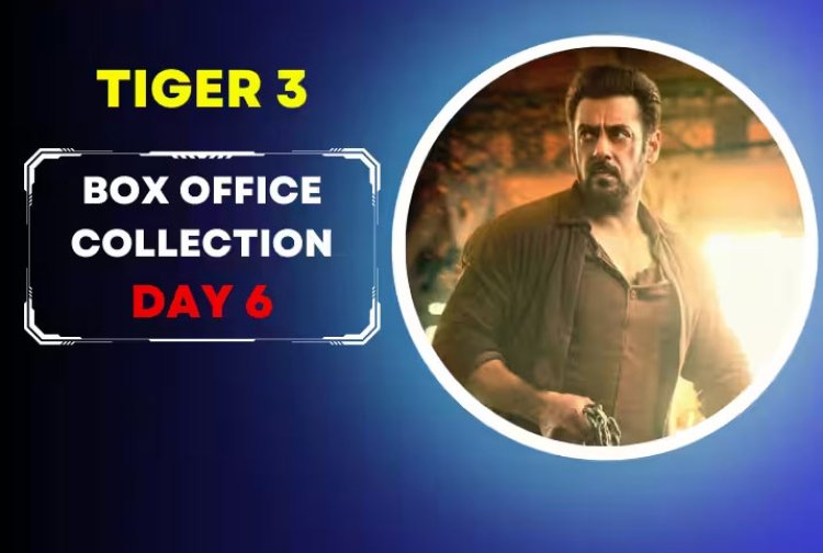 Tiger 3 Box Office Collection Day 6: 'टाइगर 3' का बॉक्स ऑफिस पर हाल बेहाल! हर दिन घट रही कमाई, छठे दिन का कलेक्शन रुलाने वाला