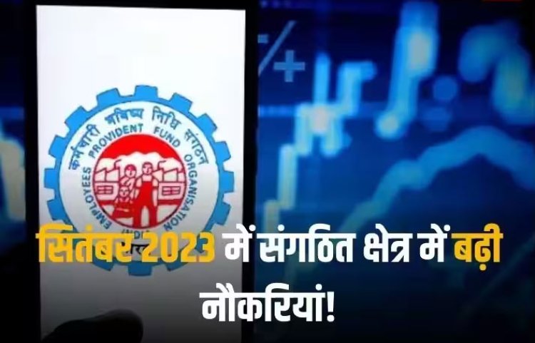 Employment: रोजगार के मोर्चे पर मिली अच्छी खबर! सितंबर में बढ़ी नौकरियां, EPFO से जुड़े इतने नए सदस्य