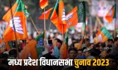 Election Result 2023: शिवराज सिंह चौहान की ये तीन कल्याणकारी योजनाएं बनीं मध्य प्रदेश में बीजेपी की जीत की बड़ी वजह