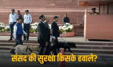 Parliament Security Breach: सीआरपीएफ के 30 ट्रेंड कमांडो विजिटर गैलरी में थे मौजूद, नहीं लिया कोई एक्शन, PSS में 119 जवानों की कमी