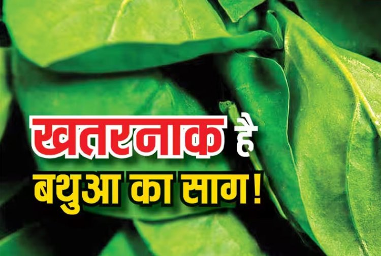 सर्दियों में हद से ज्यादा न खाएं बथुआ का साग, वरना पता भी नहीं चलेगा हो जाएंगे इस बीमारी का शिकार