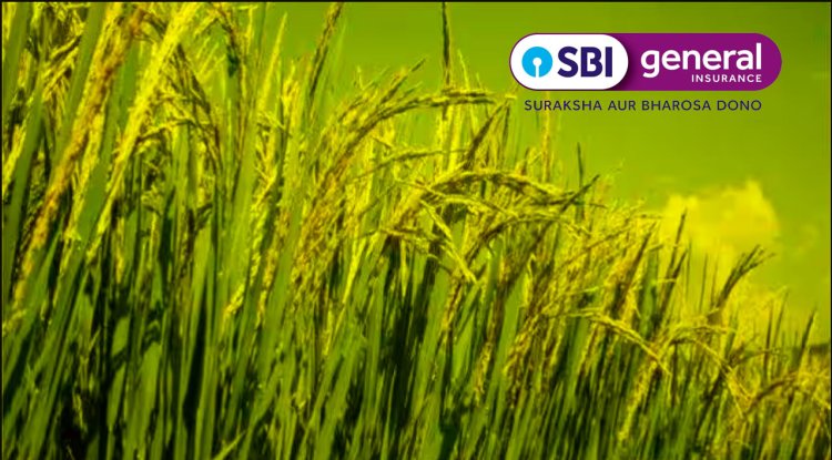 एसबीआई जनरल इंश्योरेंस ने 2023-24 में आगामी रबी मौसम के लिए छठे फसल बीमा सप्ताह जागरूकता अभियान की घोषणा की