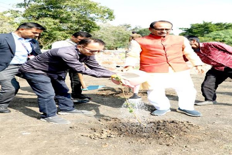 मुख्यमंत्री श्री चौहान ने लगाए पीपल, अमरुद और गूलर के पौधे