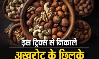 अखरोट फोड़ने का ये है सही तरीका, एक झटके में छिलका अलग और अखरोट अलग