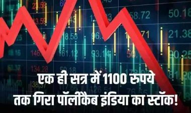 Polycab Stock Crash: पॉलीकैब इंडिया का स्टॉक 22 फीसदी तक धड़ाम, इनकम टैक्स विभाग के बयान के बाद आई गिरावट
