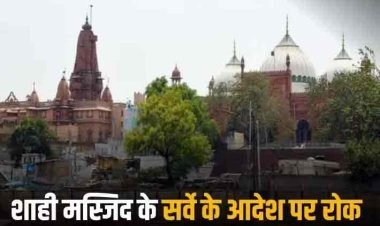 Shahi Idgah Masjid Dispute: मथुरा शाही ईदगाह के सर्वे पर सुप्रीम कोर्ट की रोक, हाईकोर्ट से मस्जिद पक्ष की याचिका सुनने को कहा