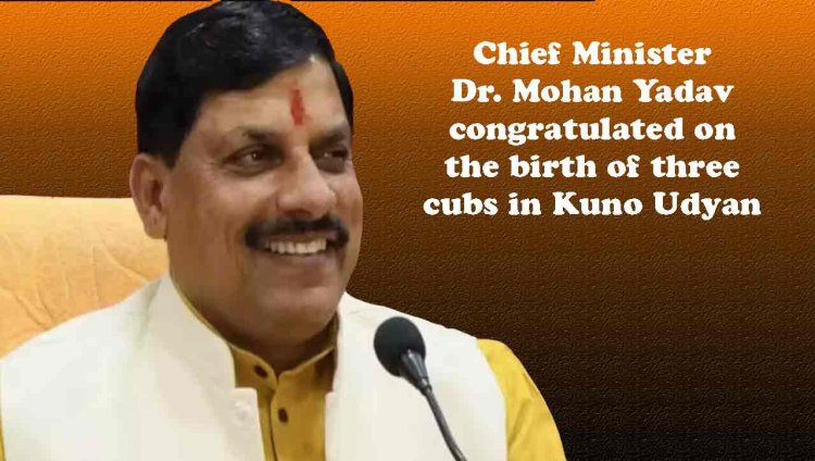 मुख्यमंत्री डॉ. मोहन यादव ने कूनो उद्यान में तीन शावकों के जन्म पर दी बधाई