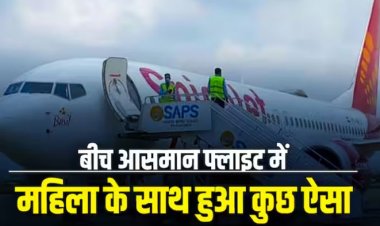 Misbehave With Woman Passenger In flight: महिला ने फ्लाइट में को-पैसेंजर पर लगाया 'बदतमीजी' का आरोप, जानें लैंडिंग के बाद क्या हुआ