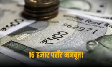 Refex Industries: 10 साल में 16 हजार पर्सेंट चढ़ा शेयर, 10 हजार रुपये से बनाया 16 लाख