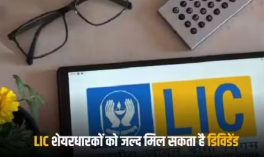 LIC Dividend: ऑल टाइम हाई तक पहुंचे एलआईसी के शेयर, जल्द हो सकता है डिविडेंड का भी ऐलान, जानें सबकुछ