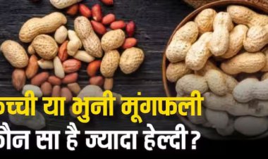 कच्ची या भुनी? दोनों में से किस तरीके से मूंगफली खाना है सेहत के लिए ज्यादा फायदेमंद