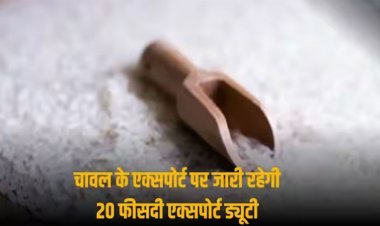 सरकार का बड़ा फैसला, 31 मार्च के बाद भी ऐसे चावल के निर्यात पर जारी रहेगी 20 फीसदी एक्सपोर्ट ड्यूटी