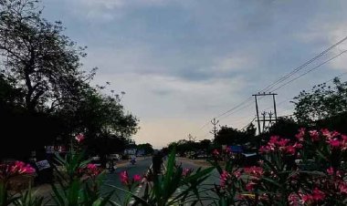 CG Weather News: छत्तीसगढ़ में नमी हवाओं का आगमन, लुढ़का पारा, रायपुर समेत कई जिलों में पड़ेंगी बौछारें