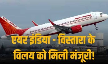 शर्तों के साथ सिंगापुर के प्रतिस्पर्धा आयोग ने एयर इंडिया - विस्तारा के विलय पर लगाई मुहर, FDI मंजूरी का है इंतजार