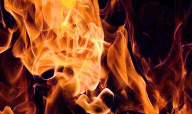 Sonipat News: केले के गोदाम में लगी आग, दमकल टीम ने पाया काबू