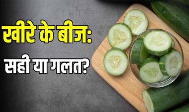 अगर बीज के साथ खीरा काटते हैं तो ये जरूर पढ़ लें! ये हेल्थ के लिए कितने सही हैं?
