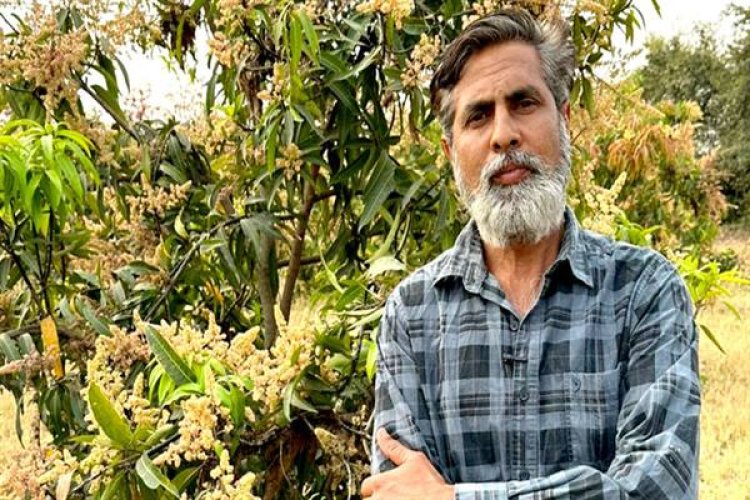 आम के बागीचे से लखपति बने किसान युवराज सिंह