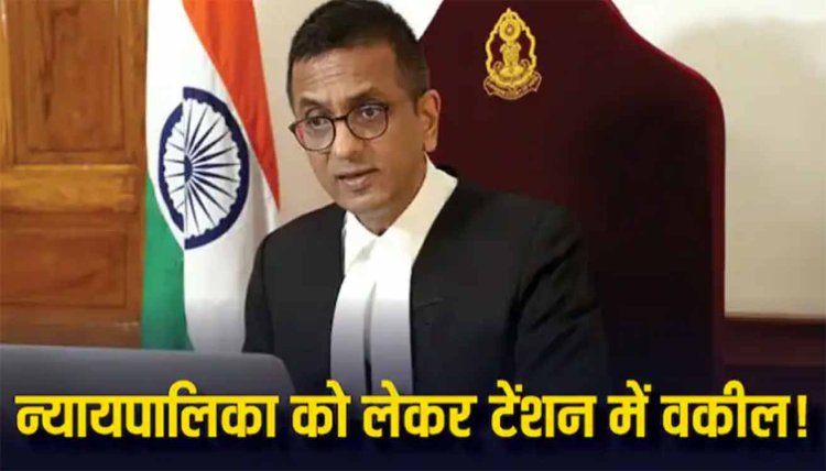 CJI DY Chandrachud: 'न्यायपालिका की संप्रभुता पर हमले की कोशिश...', एक 'खास ग्रुप' को लेकर चिंता, CJI को 600 वकीलों ने लिखी चिट्ठी