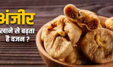Fact Check: क्या अंजीर खाने से तेजी में बढ़ सकता है वजन, जानें एक्सपर्ट की राय