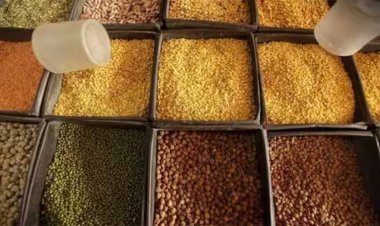 Pulse Prices: दालों की कीमतों में आ रही तेजी, व्यापारियों पर लग सकती है ये पाबंदी