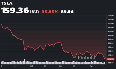 एलन मस्क की टेस्ला के शेयरों में 2024 में आई बड़ी गिरावट, जानिए क्या है कारण?
