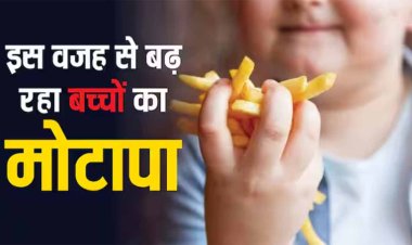 Children Obesity : बच्चों में बढ़ते मोटापे का पता चल गया कारण, सिर्फ जंक फूड्स ही इसके लिए जिम्मेदार नहीं