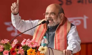 अमित शाह ने रोहतक में साबर डेयरी के नए संयंत्र का किया उद्घाटन, डेयरी क्षेत्र में हुआ 70% विकास