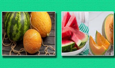 Health Tips: गर्मियों में खरबूज और तरबूज खाकर लोग पहुंच रहे हैं अस्पताल, जानिए कैसे हो रही है फूड पॉइजनिंग