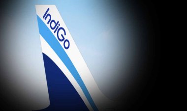 तुर्किए एयरलाइंस के साथ विमान लीज समझौता तीन महीने के अंदर खत्‍म करे इंडिगो: केन्‍द्र सरकरा