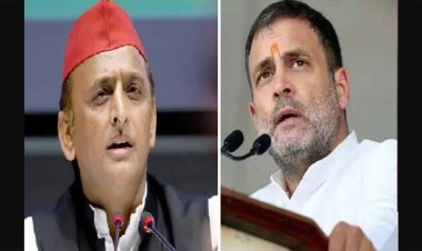 सपा-कांग्रेस और आप में गठबंधन: हरियाणा की इस सीट से चुनाव लड़ेंगी पंजाब सीएम की पत्नी!; SP को ये दो सीटें