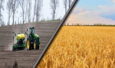 नई सरकार के टॉप एजेंडे में है फसलों पर MSP, पहली कैबिनेट में ही होगा ऐलान