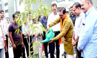 मंत्री श्री टेटवाल ने विश्व पर्यावरण दिवस पर किया पौधरोपण