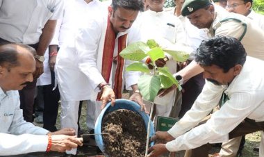 “एक पेड़ माँ के नाम” अभियान पर्यावरण संरक्षण की दिशा में बड़ा कदम: उप-मुख्यमंत्री श्री शुक्ल