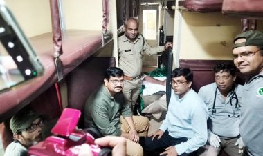 बाघिन के घायल शावकों को लाने चली एक डिब्बे की विशेष ट्रेन