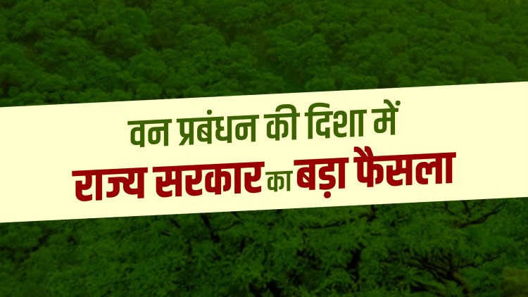 वन प्रबंधन की दिशा में राज्य सरकार का बड़ा फैसला