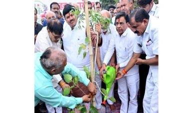पौध-रोपण कर पेड़ बनने तक उनका संरक्षण करें -उप मुख्यमंत्री श्री देवड़ा