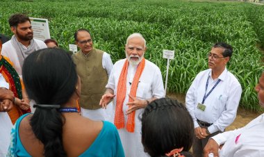 Climate Resilient Crops: पीएम ने किसानों को दिया खास तोहफा, अधिक उपज वाली फसलों की 109 किस्में की जारी