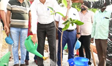 रायपुर : श्री जितेन्द्र कुमार वन महानिदेशक एवं विशेष सचिव पर्यावरण एवं जलवायु परिवर्तन मंत्रालय भारत सरकार ने ‘एक पेड़ मां के नाम अभियान‘ के तहत नंदनवन जंगलसफारी में महुए के पौधे लगाए