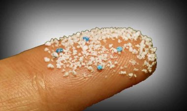 कितना खतरनाक होता है माइक्रो प्लास्टिक? जानें इससे कैंसर होने के कितने होते हैं चांस