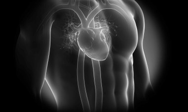 हार्ट अटैक आने से ठीक पहले इस जगह शुरू होता है दर्द, फिर इतने मिनट में चली जाती है जान