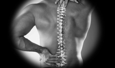 Back Pain: क्या आप भी पीठ दर्द से परेशान हैं? जानें इसके लक्षण और कारण