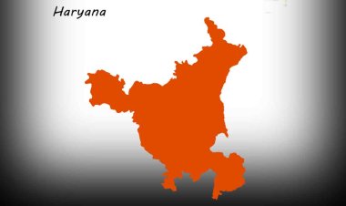 Haryana Election: बांगर बेल्ट में घटा मतदान, किसान आंदोलन से प्रभावित बांगड़ में एक फीसदी बढ़ा; मेवात सबसे आगे